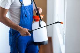 Best Fumigation Services  in Dundee, MI